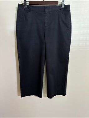 Blue Earth Women's Black Cotton Stretch Cropped Straight-Leg Pants